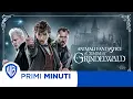 Video di Animali Fantastici - I Crimini di Grindelwald - I Primi minuti