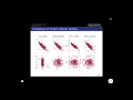 Preprocessing II - Feature Transformations wo musiic