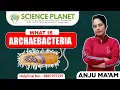 What is ARCHAEBACTERIA by Anju Mam Science Planet Biology
