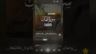 يوسف الصقير سورة لقمان تلاوة خاشعة تريح القلوب  يوسف الصقير سورة لقمان تلاوة خاشعة تريح القلوب