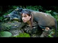 Download Lagu 240 days of survival in the wild, trapping wild boars and turkeys, survival alone
