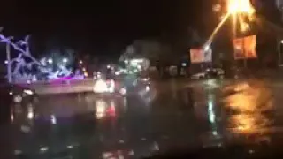 ليكي برا جنون البرد شلع ورقات الوردة 