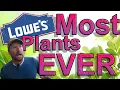 Lowes Plant Clearance Shopping Stuffed with plants