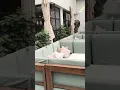 Download Lagu Mumbai Bandra ZIMA restaurant 🔥🔥