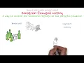 Emotion-focused coping