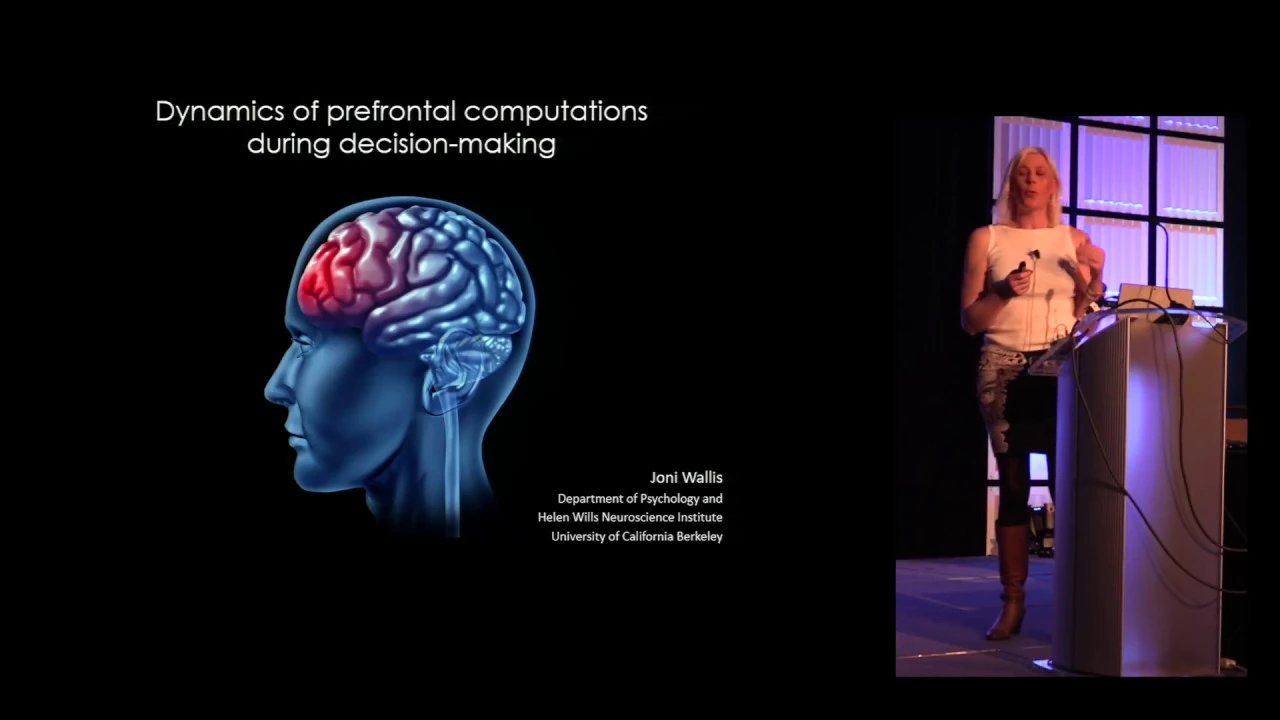 Joni Wallis - Dynamics of prefrontal computations during decision-making (Cosyne 2018)