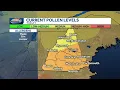 Are you an allergy sufferer Pollen count high across much of NH