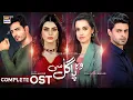 Lagu Woh Pagal Si OST | Sibtain Khalid | Hira Khan | Saad Qureshi | ARY Digital