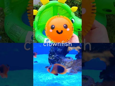 Learn at the Dino Pool | Sea Animal Names for Kids: Clownfish Halloween Crab Seagull Octopus