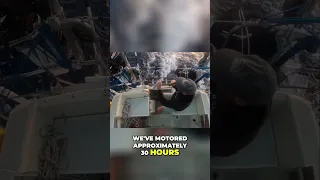 Day 21 at sea #sailing #oceanvoyage #fishing #surfing #sailinglife