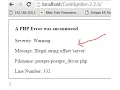Codeigniter problem - Illegal string offset server when using PostgreSQL