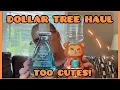 DOLLAR TREE HAUL TIME LETS OPEN UP SOME PRODUCTS 8 15 26