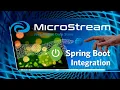 MicroStream Spring Boot Integration