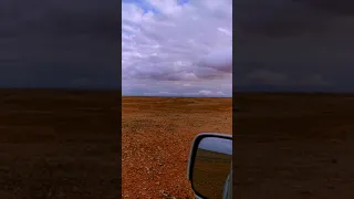 شيلة الوسم   مفضي بن سعيد   حصري دندنها