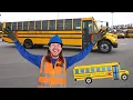 Download Lagu Handyman Hal learns about School Bus | School Bus for Kids