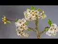 Download Lagu Unis Abdullaev - Pear tree (Flute, Guitar, Instrumental music, Sleep music, Relax music)