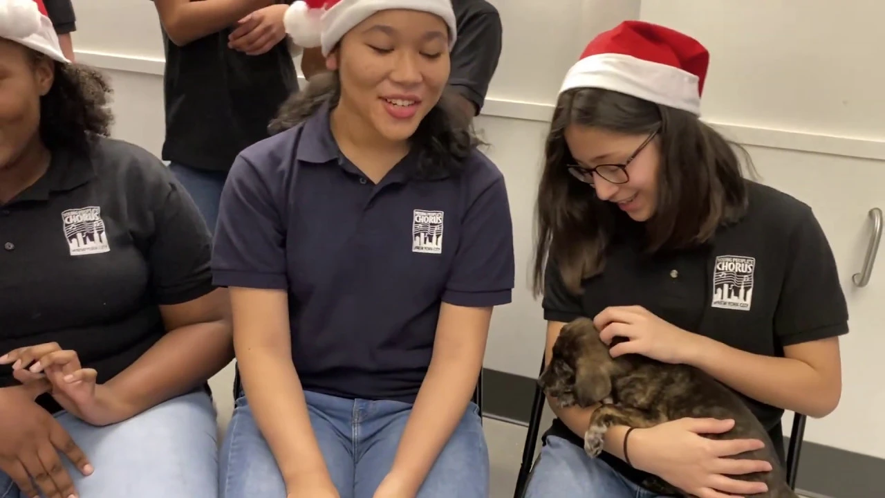 Young People's Chorus of NYC sings "Feliz Navidad" with rescue puppies at Animal Haven Shelter Young People's Chorus of NYC sings "Feliz Navidad" with rescue puppies at Animal Haven Shelter