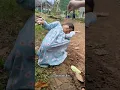 Download Lagu ADA YANG BERANI MAKAN CACING KAYA MANG UNI BESTIE?