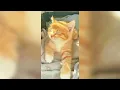 𝐀𝐞𝐬𝐭𝐡𝐞𝐭𝐢𝐜 - 𝐓𝐨𝐥𝐥𝐚𝐧 𝐊𝐢𝐦 [𝐬𝐥𝐨𝐰𝐞𝐝]