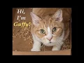 Guffy