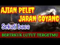 Download Lagu ‼️AJIAN PELET JARAN GOYANG || Pelet Ampuh PALING SADIS Tanpa Puasa Gadis Maupun Janda Pasti Luluh
