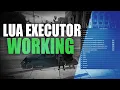 FiveM Lua Executor Working Eulen Menu Internal to get server files