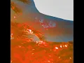 Gateway (feat. Olswel)