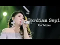 Download Lagu TERDIAM SEPI Via Vallen (LIRIK)
