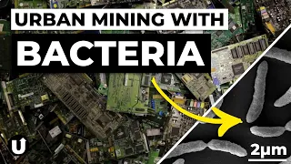How Bioleaching is Revolutionising Electronics Recycling