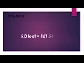 5 3 feet to cm
