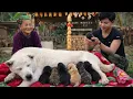 Lagu Heartwarming moment: an elderly woman smiles as her puppies are born