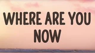 Alan Walker Where Are You Now Faded Lyrics 