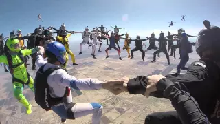                                                            دندنها