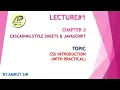 COMPUTER LECTURE CH-2 CSS INTRODUCTION CSS JAVASCRIPT STD-12th AMRUT GOSWAMI
