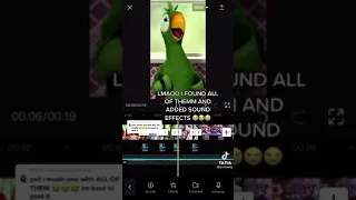 Boi What The Hell Boi 