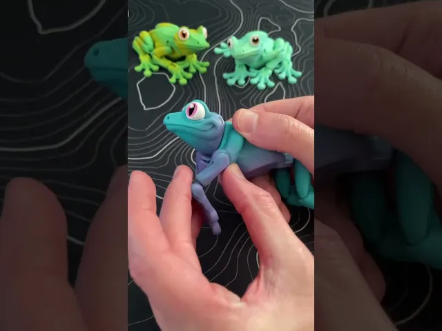 Tree Frog - Articulated Figure video thumbnail