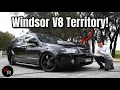 Download Lagu 302 Windsor V8 Swapped Ford Territory* TUFF AF!