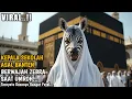 Download Lagu VIRAL‼️ Kepala Sekolah Asal Banten Tiba-Tiba Berwajah Zebra Saat Umroh‼️Dosanya Sangat Mengejutkan‼️