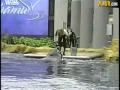 NH Family Shares Of Deadly Sea World Show