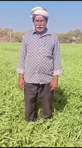 नैनो यूरिया और DAP खाद से कैसे बच सकती है आपकी फसल, झालावाड़ के किसान से सुनिए