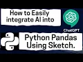 How to Easily integrate AI into your Python Pandas Using sketch