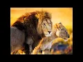 Exploring South Africa Victoria Falls Botswana w Collette