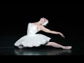 Download Lagu The Dying Swan – Natalia Osipova (The Royal Ballet)