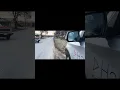 Hallcon stories glitch in the matrix