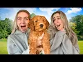 Download Lagu WIJ KRIJGEN EEN PUPPY! 🐶