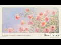 Lagu Rose Garden | A playlist for a quiet morning | Work Study Focus Reading Stress Relief Calm Relaxing