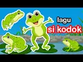 Download Lagu Ada Kodok Rekotok Rekotok - Lagu Anak Balita Populer