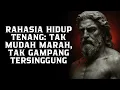 Download Lagu Cara Menjadi Tenang: Tidak Mudah Marah dan Tak Goyah oleh Siapa Pun | Filsafat Stoikisme