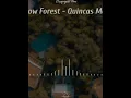 Rainbow Forest - Quincas Moreira | Free Music