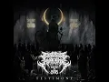Testimony (feat. Devin Duarte)